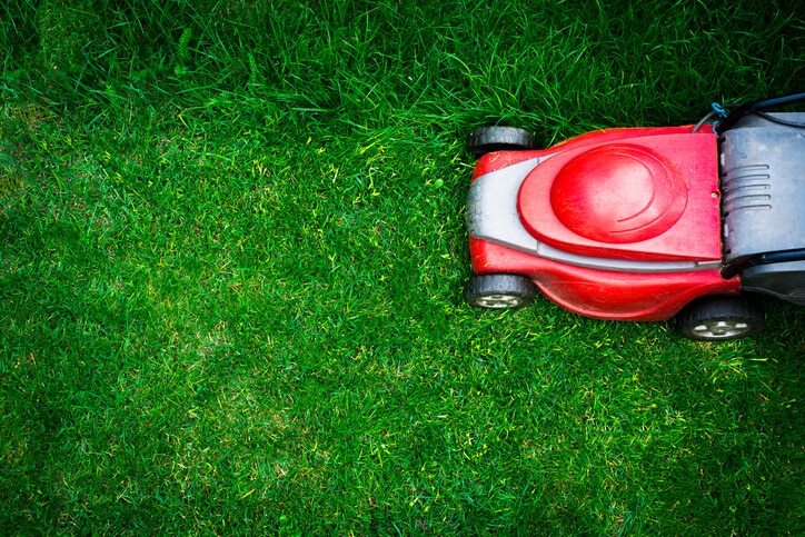 lawn mower service roswell