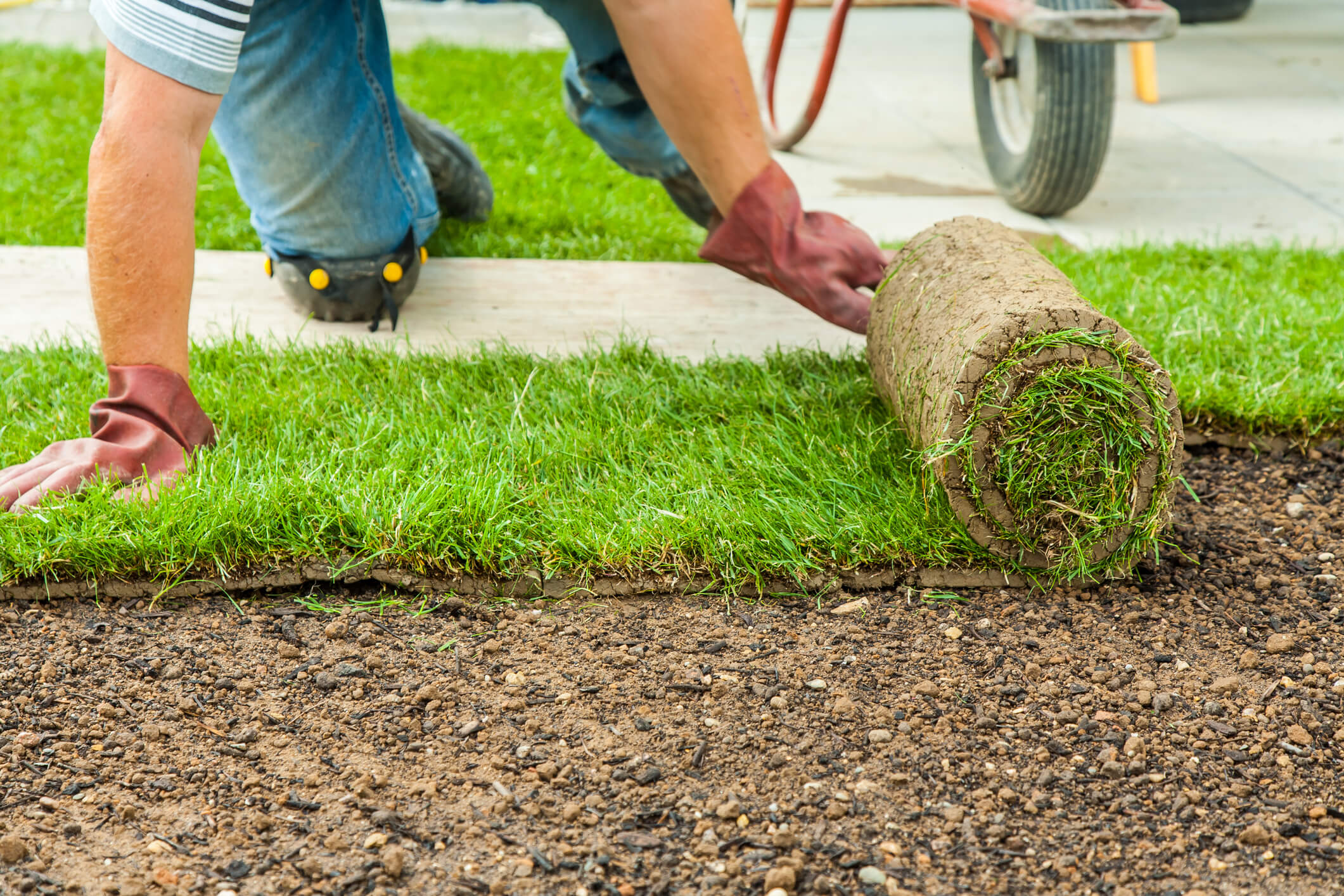 Roswell NM Lawn Installation Services