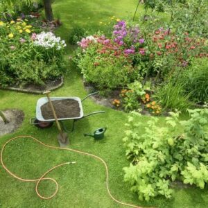 Tips For Spring Lawn Care