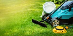 early spring lawn care