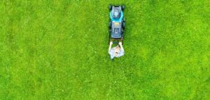 lawn mowing service near me
