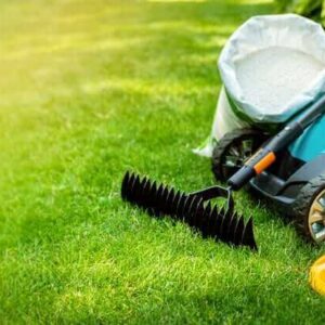 Benefits of Hiring Professional Yard Cleaning Services