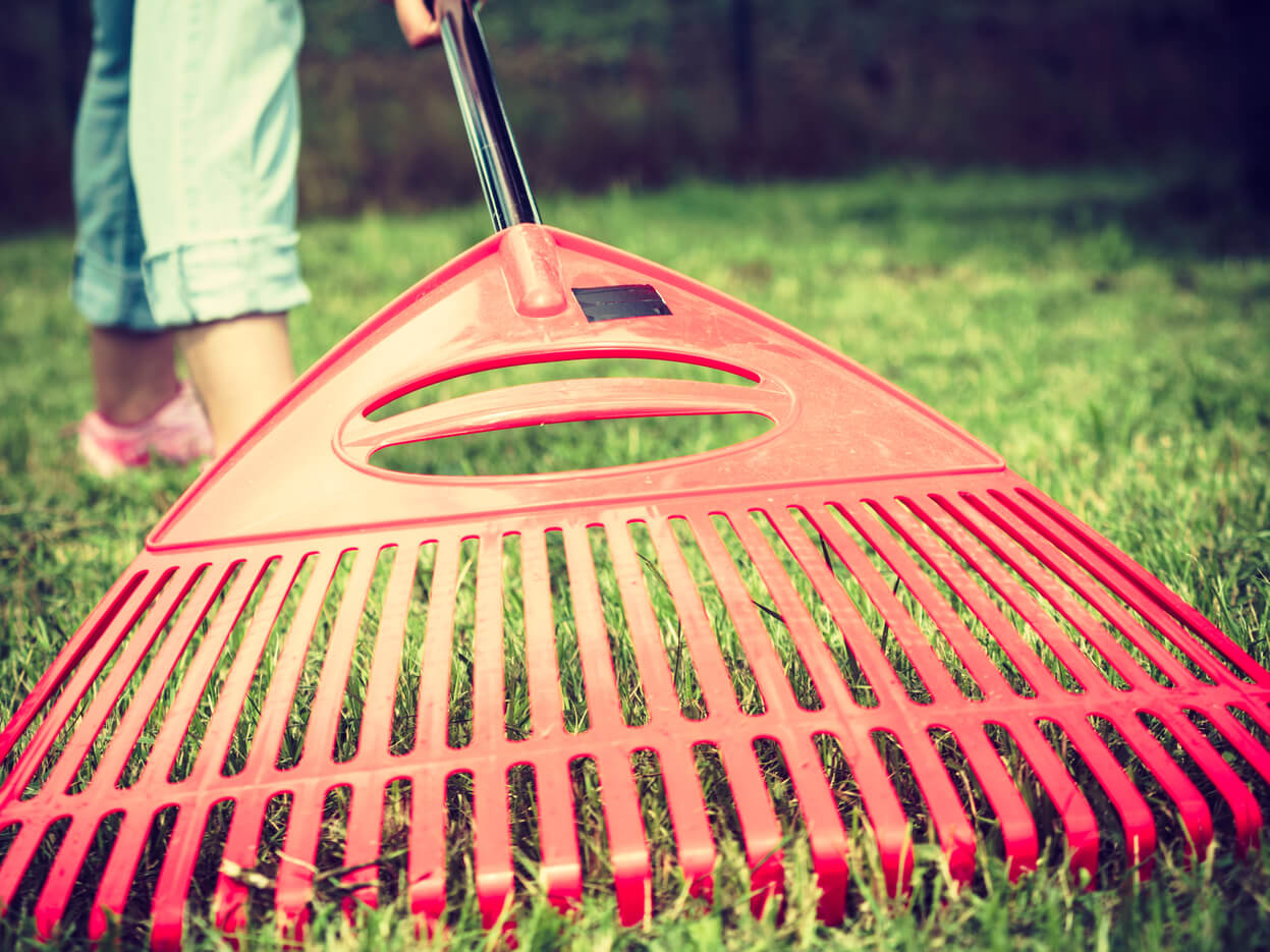 Plano lawn care services yard service