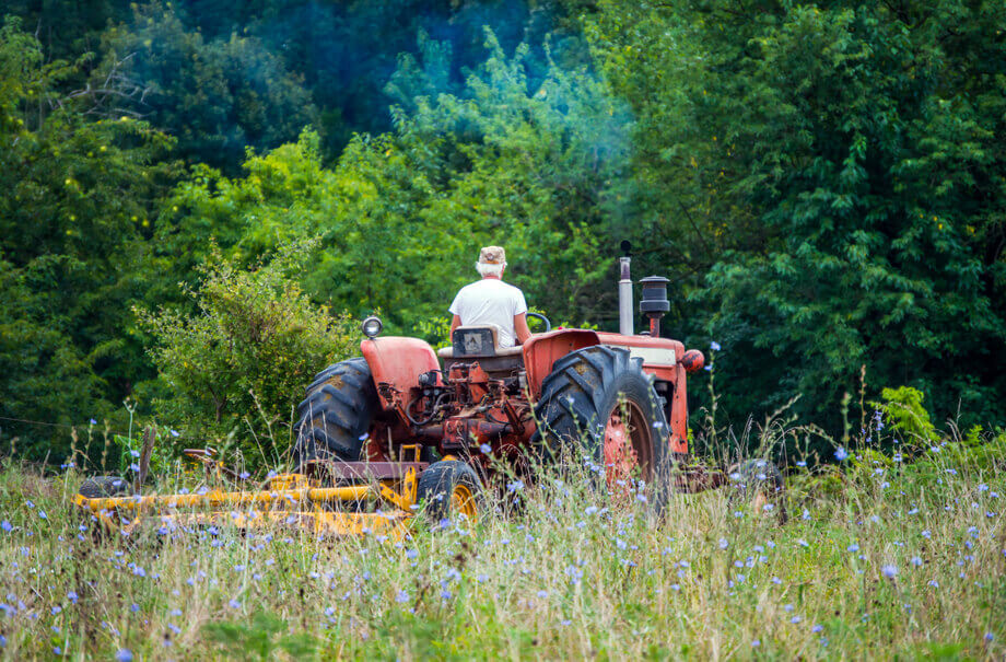 brush hog & field mowing Dallas brush mower Dallas