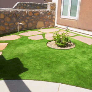 Is Professional Landscaping Worth It in Texas Heat?