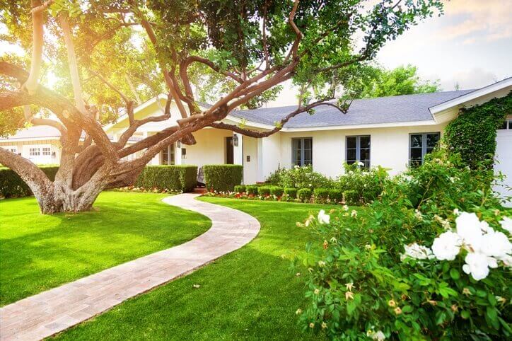 landscaping maintenance services Texas
