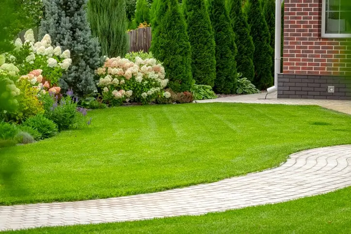 Carlsbad-Landscaping