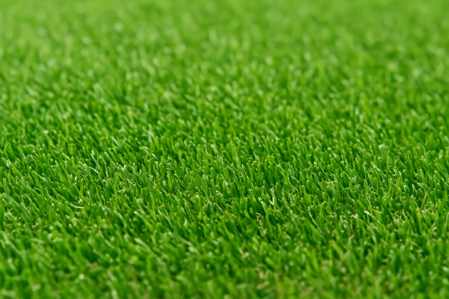 Plano-artificial-grass-installation-near-me