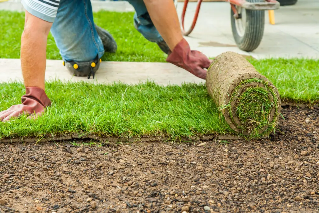 artificial-turf-installation-Albuquerque