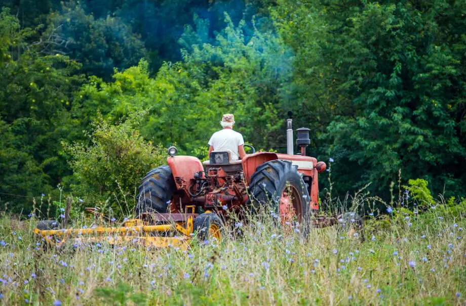 brush-hog-field-mowing-Dallas