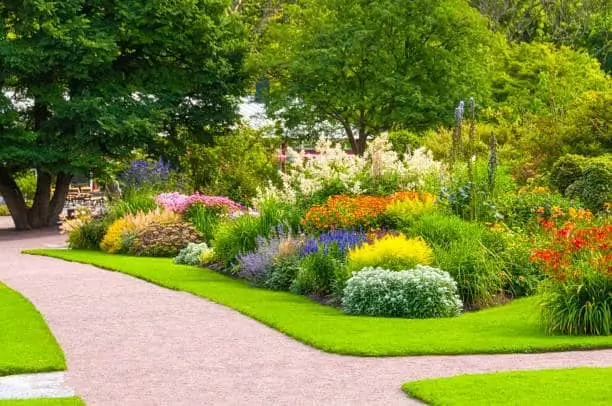 carlsbad landscapers