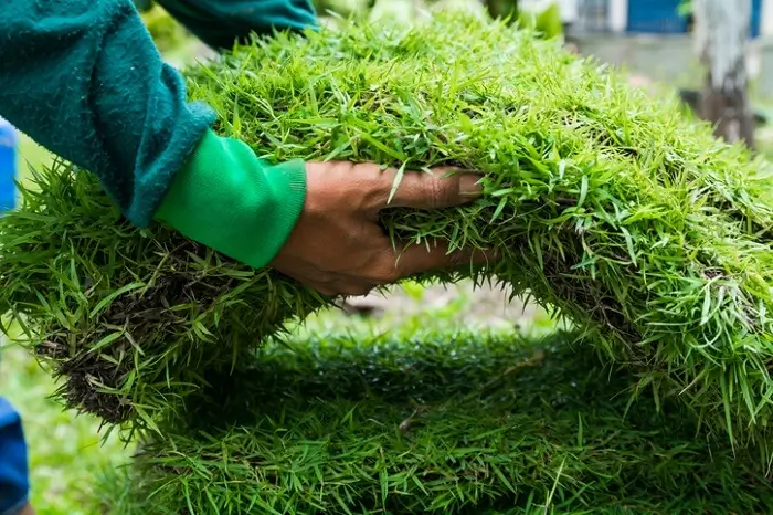 artificial grass installer Albuquerque