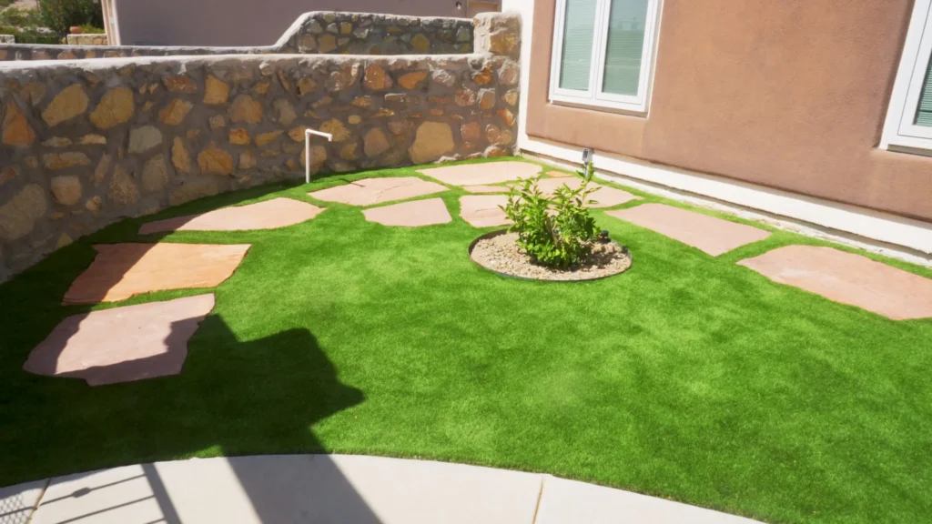 different types of grass in Texas
